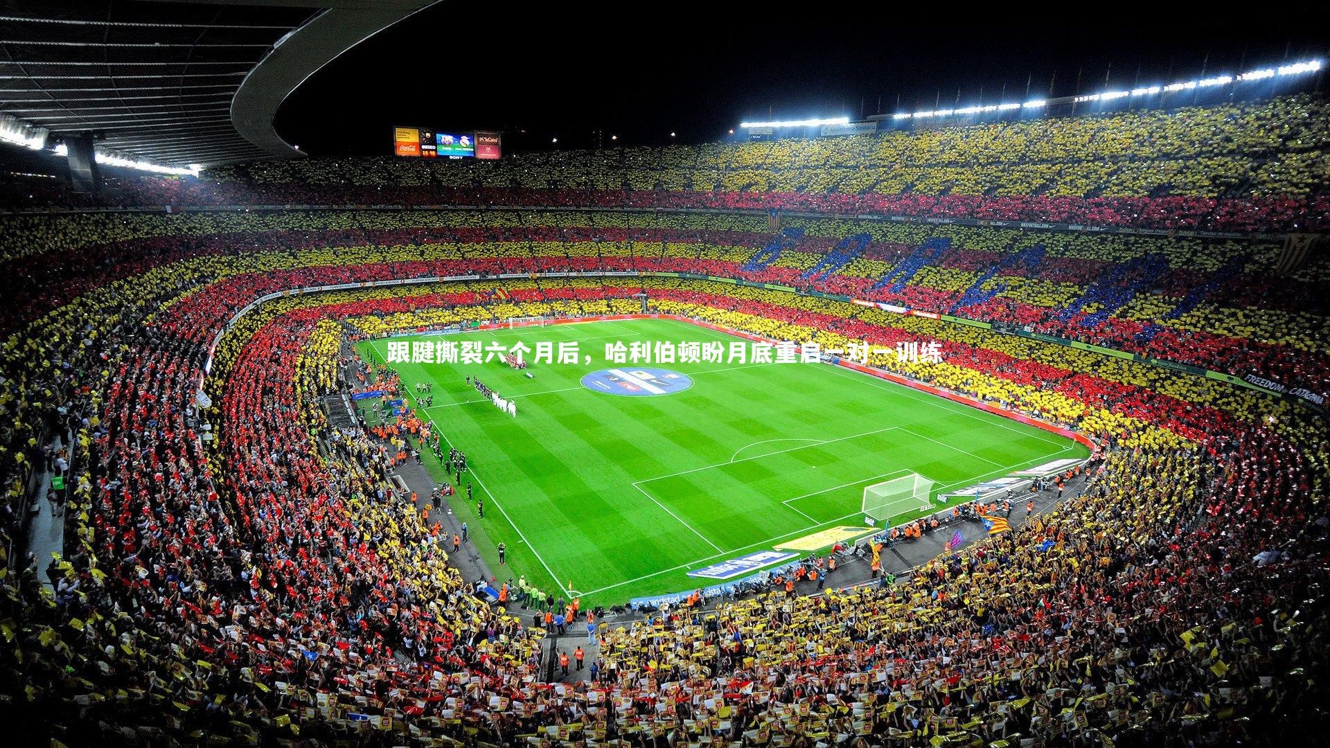 跟腱撕裂六个月后，哈利伯顿盼月底重启一对一训练